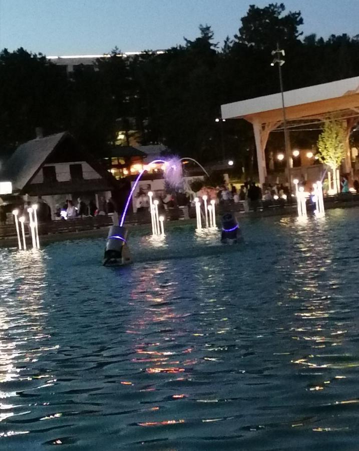 Standardna Soba Zlatibor Centar 205 Hotel Esterno foto